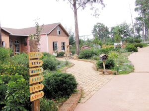 都市農莊 農業轉型的新模式，而非升級版農家樂